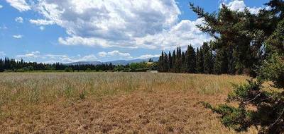 Terrain et maison à Argelès-sur-Mer en Pyrénées-Orientales (66) de 150 m² à vendre au prix de 454000€ - 4