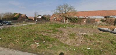 Terrain et maison à Brebières en Pas-de-Calais (62) de 100 m² à vendre au prix de 257000€ - 3