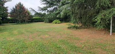 Terrain à Cadillac-en-Fronsadais en Gironde (33) de 810 m² à vendre au prix de 90000€ - 1