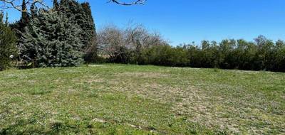 Terrain à Airoux en Aude (11) de 1470 m² à vendre au prix de 59000€ - 4