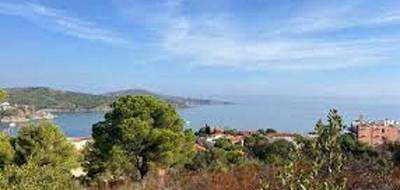 Terrain et maison à Banyuls-sur-Mer en Pyrénées-Orientales (66) de 150 m² à vendre au prix de 541000€ - 4