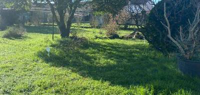 Terrain et maison à Châteauneuf-sur-Charente en Charente (16) de 70 m² à vendre au prix de 191000€ - 3