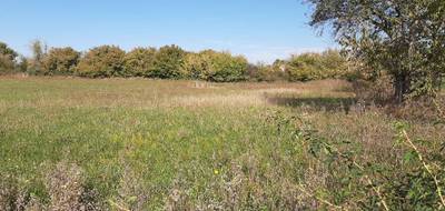 Terrain et maison à Sargé-lès-le-Mans en Sarthe (72) de 80 m² à vendre au prix de 244000€ - 4