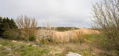 Terrain et maison à Avignonet-Lauragais en Haute-Garonne (31) de 115 m² à vendre au prix de 288818€ - 4