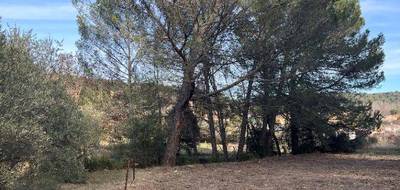 Terrain à Barjols en Var (83) de 770 m² à vendre au prix de 77000€ - 3