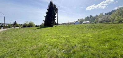 Terrain à Saales en Bas-Rhin (67) de 5935 m² à vendre au prix de 87900€ - 2