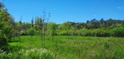 Terrain à Tourves en Var (83) de 570 m² à vendre au prix de 131000€ - 1