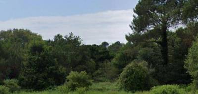 Terrain à Messanges en Landes (40) de 703 m² à vendre au prix de 250000€ - 1