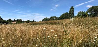 Terrain à Montaillé en Sarthe (72) de 700 m² à vendre au prix de 7000€ - 3