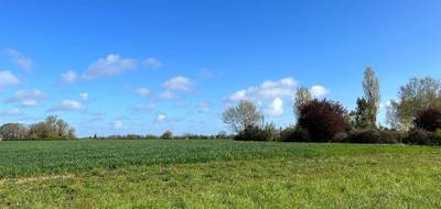 Terrain à Semblançay en Indre-et-Loire (37) de 565 m² à vendre au prix de 65000€ - 1