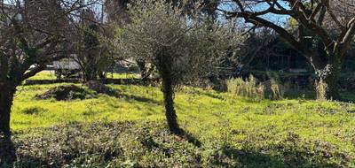 Terrain à Montauroux en Var (83) de 520 m² à vendre au prix de 215000€ - 1