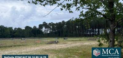 Terrain à Tosse en Landes (40) de 777 m² à vendre au prix de 325000€ - 1