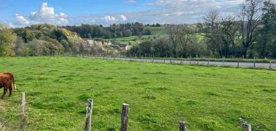 Terrain à Crandelles en Cantal (15) de 1632 m² à vendre au prix de 55000€ - 3