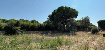 Terrain et maison à Puget-sur-Argens en Var (83) de 84 m² à vendre au prix de 340000€ - 4