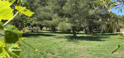 Terrain à Pierrefeu-du-Var en Var (83) de 600 m² à vendre au prix de 189000€ - 2