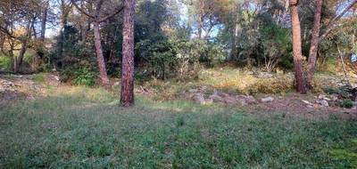 Terrain à Tourves en Var (83) de 500 m² à vendre au prix de 140000€ - 4