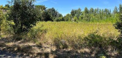 Terrain à Castelnaudary en Aude (11) de 1024 m² à vendre au prix de 92000€ - 1
