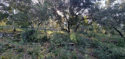 Terrain à Vidauban en Var (83) de 2865 m² à vendre au prix de 130000€ - 4