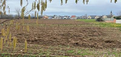 Terrain à Weckolsheim en Haut-Rhin (68) de 550 m² à vendre au prix de 74500€ - 2