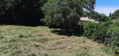 Terrain et maison à Villevieille en Gard (30) de 100 m² à vendre au prix de 329580€ - 4