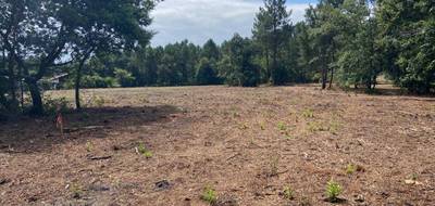 Terrain à Pontenx-les-Forges en Landes (40) de 725 m² à vendre au prix de 98500€ - 1