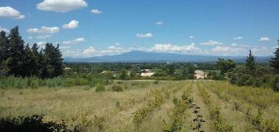 Terrain et maison à Pertuis en Vaucluse (84) de 150 m² à vendre au prix de 615000€ - 3