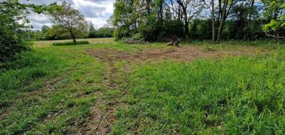 Terrain à Montsaunès en Haute-Garonne (31) de 5635 m² à vendre au prix de 53000€ - 2