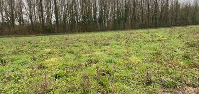 Terrain à Montpellier-de-Médillan en Charente-Maritime (17) de 800 m² à vendre au prix de 56000€ - 1