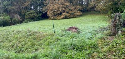 Terrain et maison à Mouleydier en Dordogne (24) de 84 m² à vendre au prix de 172000€ - 3