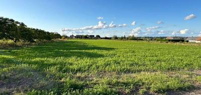 Terrain et maison à Souvigné en Indre-et-Loire (37) de 80 m² à vendre au prix de 210000€ - 4