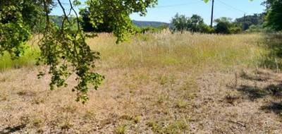 Terrain à Rians en Var (83) de 585 m² à vendre au prix de 95000€ - 3