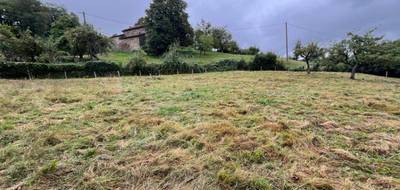 Terrain à Boisset en Cantal (15) de 3700 m² à vendre au prix de 50000€ - 1