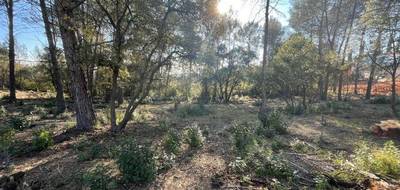 Terrain à Trans-en-Provence en Var (83) de 920 m² à vendre au prix de 189000€ - 3