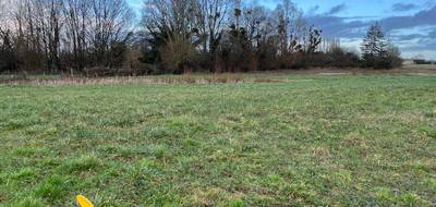 Terrain à Savigné-l'Évêque en Sarthe (72) de 288 m² à vendre au prix de 37000€ - 1