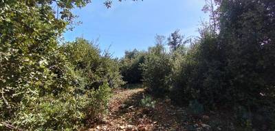 Terrain à Orgnac-l'Aven en Ardèche (07) de 1070 m² à vendre au prix de 71000€ - 2