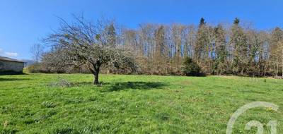 Terrain à Castelbiague en Haute-Garonne (31) de 3901 m² à vendre au prix de 39000€ - 2