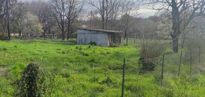 Terrain et maison à Châteauneuf-sur-Charente en Charente (16) de 73 m² à vendre au prix de 161582€ - 3