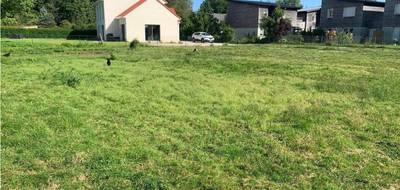 Terrain et maison à La Capelle-lès-Boulogne en Pas-de-Calais (62) de 90 m² à vendre au prix de 369000€ - 3