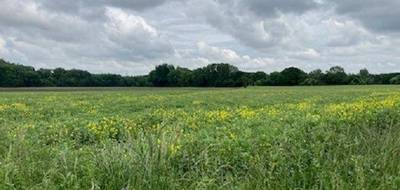 Terrain et maison à Carvin en Pas-de-Calais (62) de 100 m² à vendre au prix de 245000€ - 3