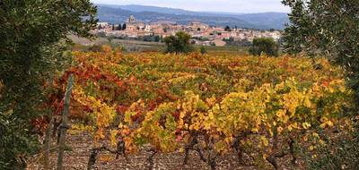 Terrain et maison à La Livinière en Hérault (34) de 89 m² à vendre au prix de 194000€ - 4