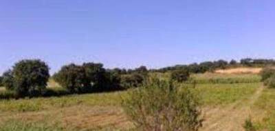 Terrain à Saint-Médard-de-Guizières en Gironde (33) de 550 m² à vendre au prix de 35000€ - 4