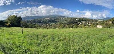 Terrain à Opio en Alpes-Maritimes (06) de 2500 m² à vendre au prix de 699000€ - 1