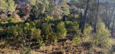 Terrain à Brignoles en Var (83) de 690 m² à vendre au prix de 140000€ - 4