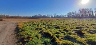 Terrain à Mirepoix en Ariège (09) de 1190 m² à vendre au prix de 97000€ - 2