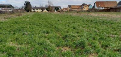 Terrain et maison à Houssen en Haut-Rhin (68) de 102 m² à vendre au prix de 354000€ - 4