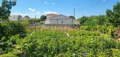 Terrain et maison à Nîmes en Gard (30) de 80 m² à vendre au prix de 419000€ - 4