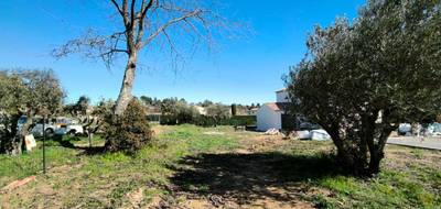 Terrain à La Motte-d'Aigues en Vaucluse (84) de 617 m² à vendre au prix de 180000€ - 3