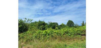 Terrain et maison à Saint-Augustin en Charente-Maritime (17) de 50 m² à vendre au prix de 164895€ - 4