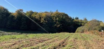 Terrain et maison à Bonnac-la-Côte en Haute-Vienne (87) de 90 m² à vendre au prix de 212400€ - 3