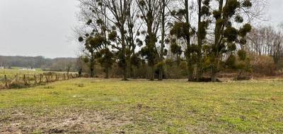 Terrain et maison à Ribécourt-Dreslincourt en Oise (60) de 150 m² à vendre au prix de 349000€ - 3